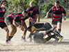 thumb_DSC_6357.jpg